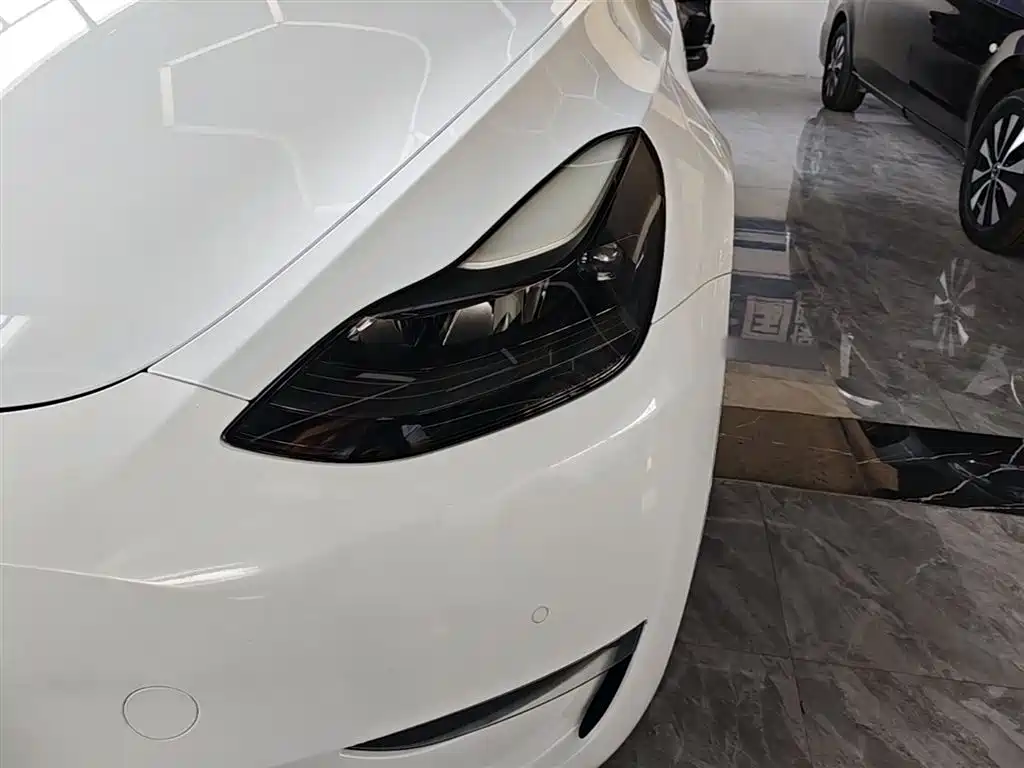 Tesla Model Y 2021 2021 Long Range All-Wheel Drive 3D7