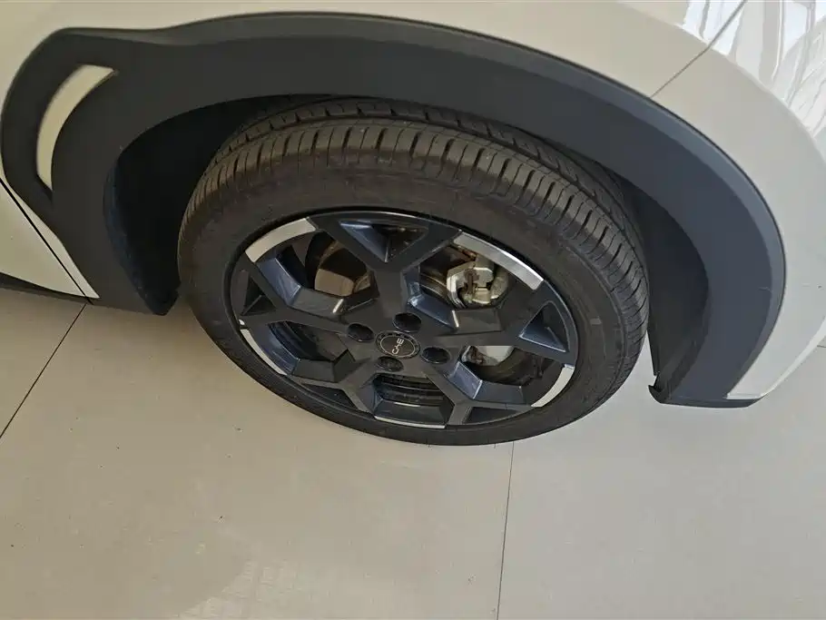 BYD Seagull 2025 305km Freedom фото 6