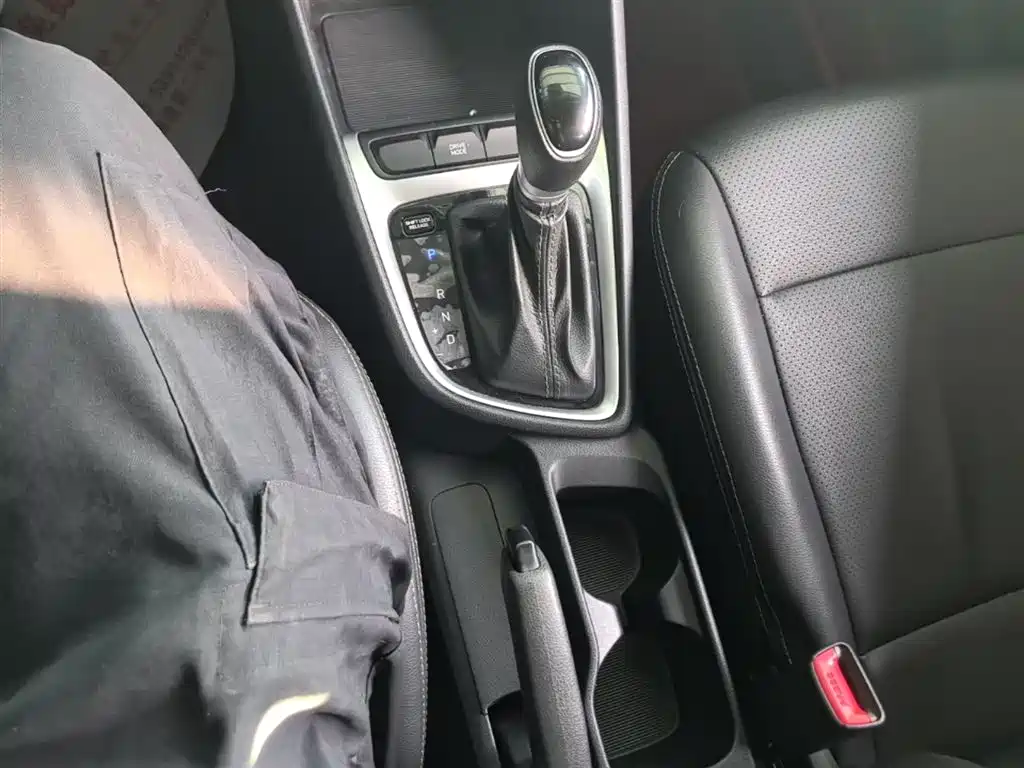 Hyundai Elantra 2018 1.6L Automatic Pleasing Edition GL China VI фото 14