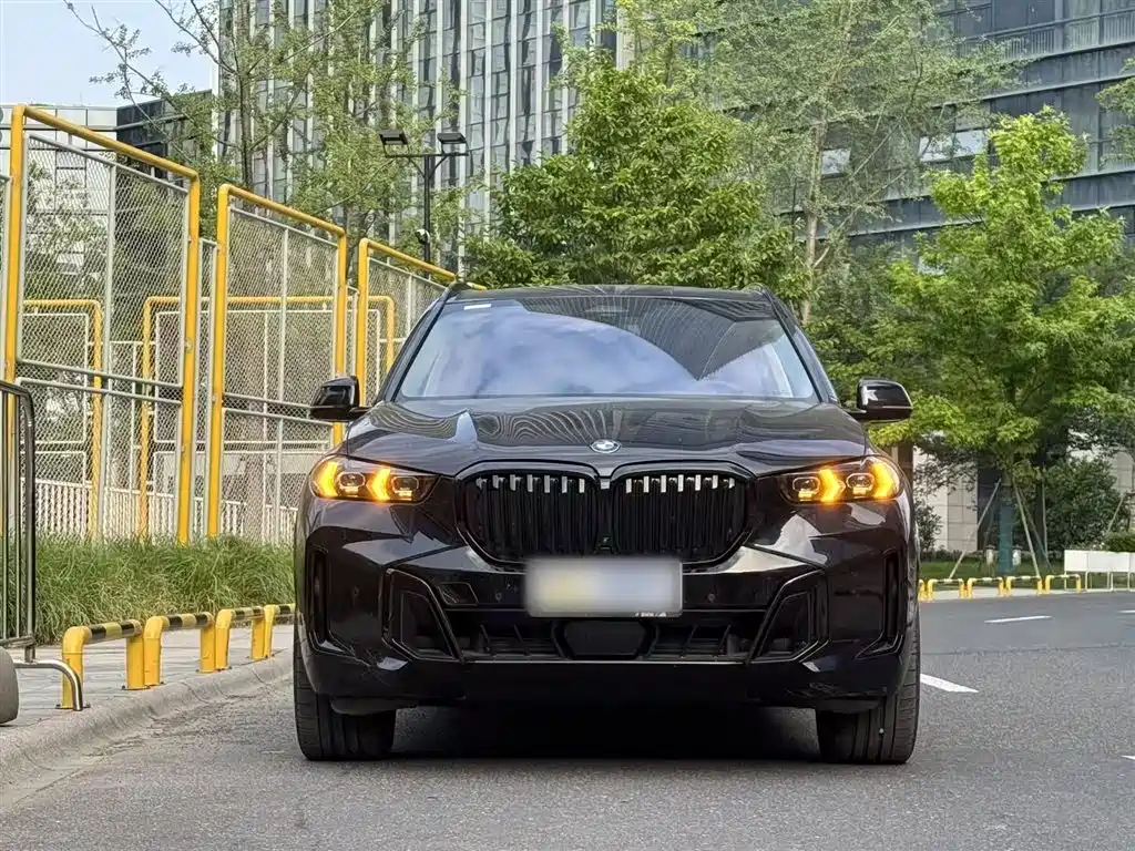 BMW X5 2023 xDrive 30Li Premium M Sport Package фото 3