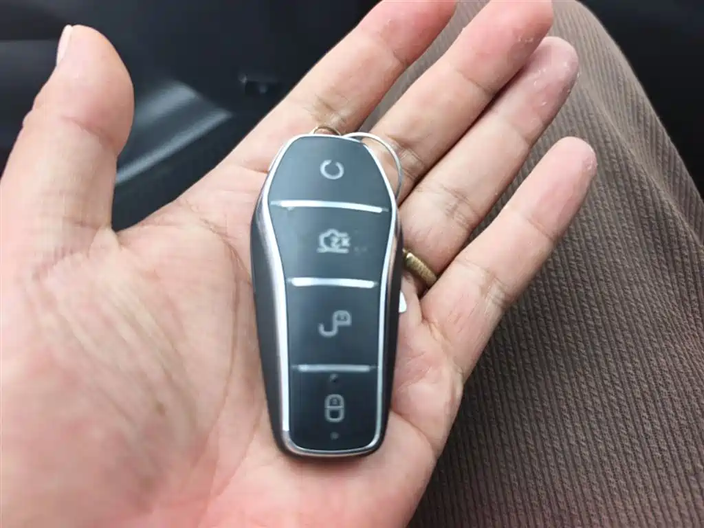 BYD Qin PLUS 2026 DM-i Smart Edition 128KM Progressive фото 9