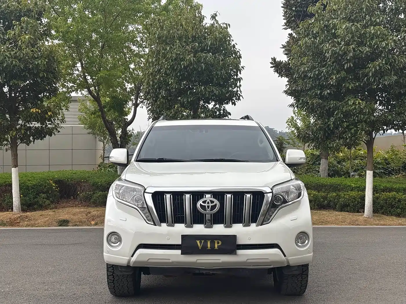 Фото 2 - Toyota Prado
