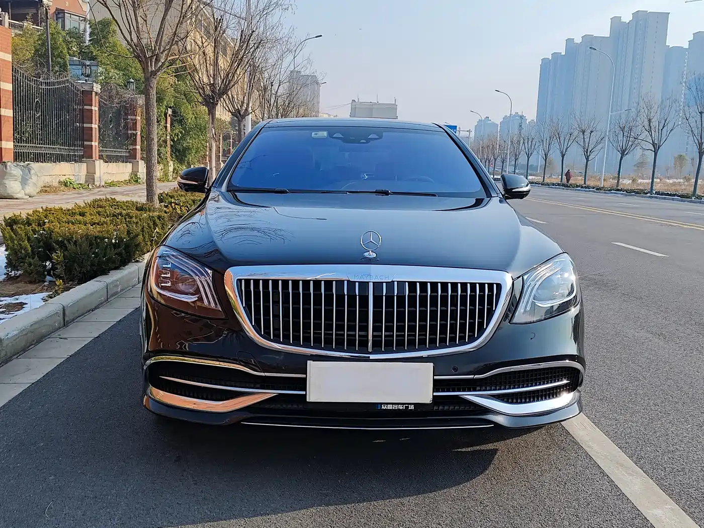 Mercedes-Benz Maybach S-Class 2019 S 450 4MATIC фото 14