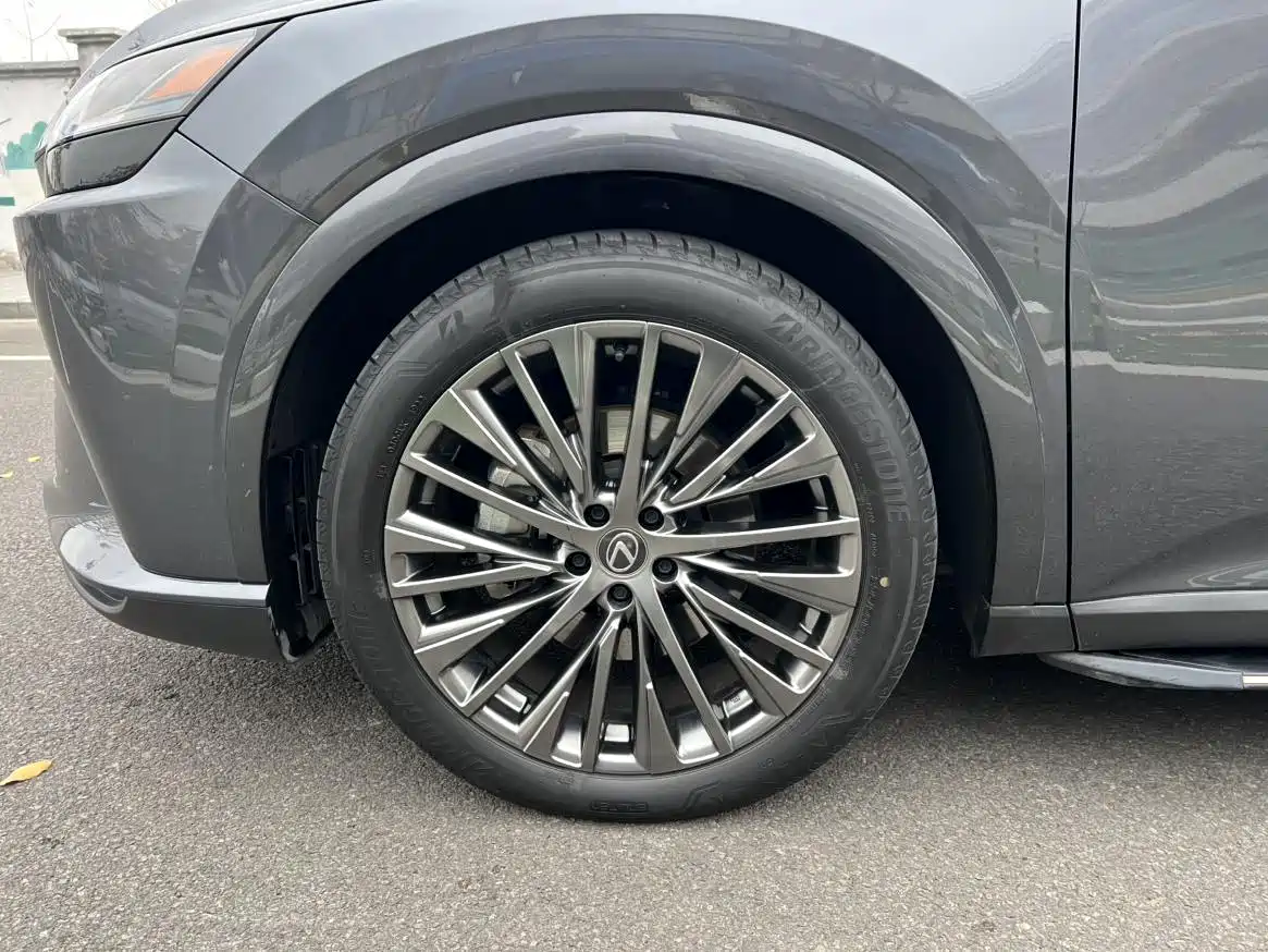 Lexus RX New Energy 2023 450h+ 4WD Enjoyment фото 13