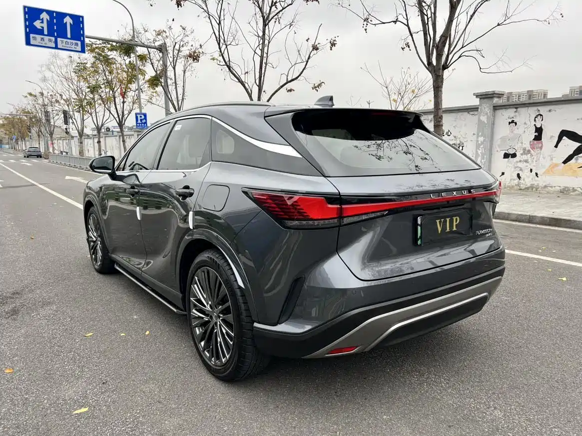 Lexus RX New Energy 2023 450h+ 4WD Enjoyment фото 16