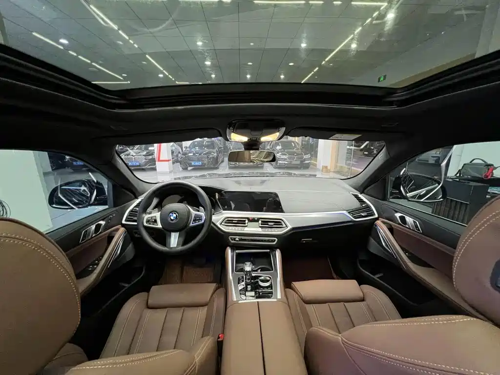 صورة 5 - BMW X6