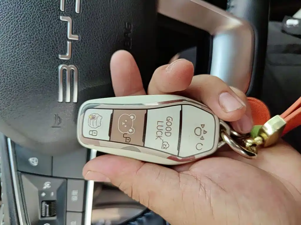 BYD Destroyer 05 2024 2024 Glory Edition DM-i 55KM Luxury