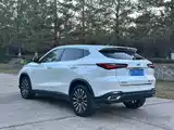 Фото 4 - Changan Oshan Changan Oushang X5