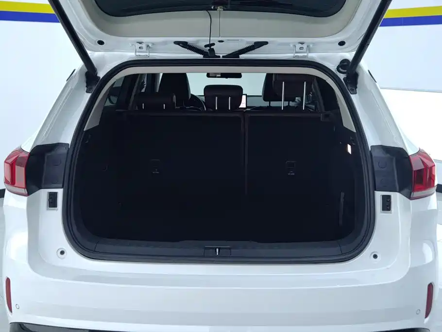 Фото 4 - WEY VV6