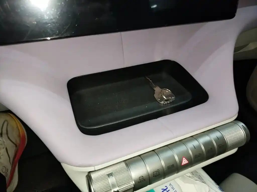BYD Dolphin 2021 Model 405km Fashion Edition фото 17