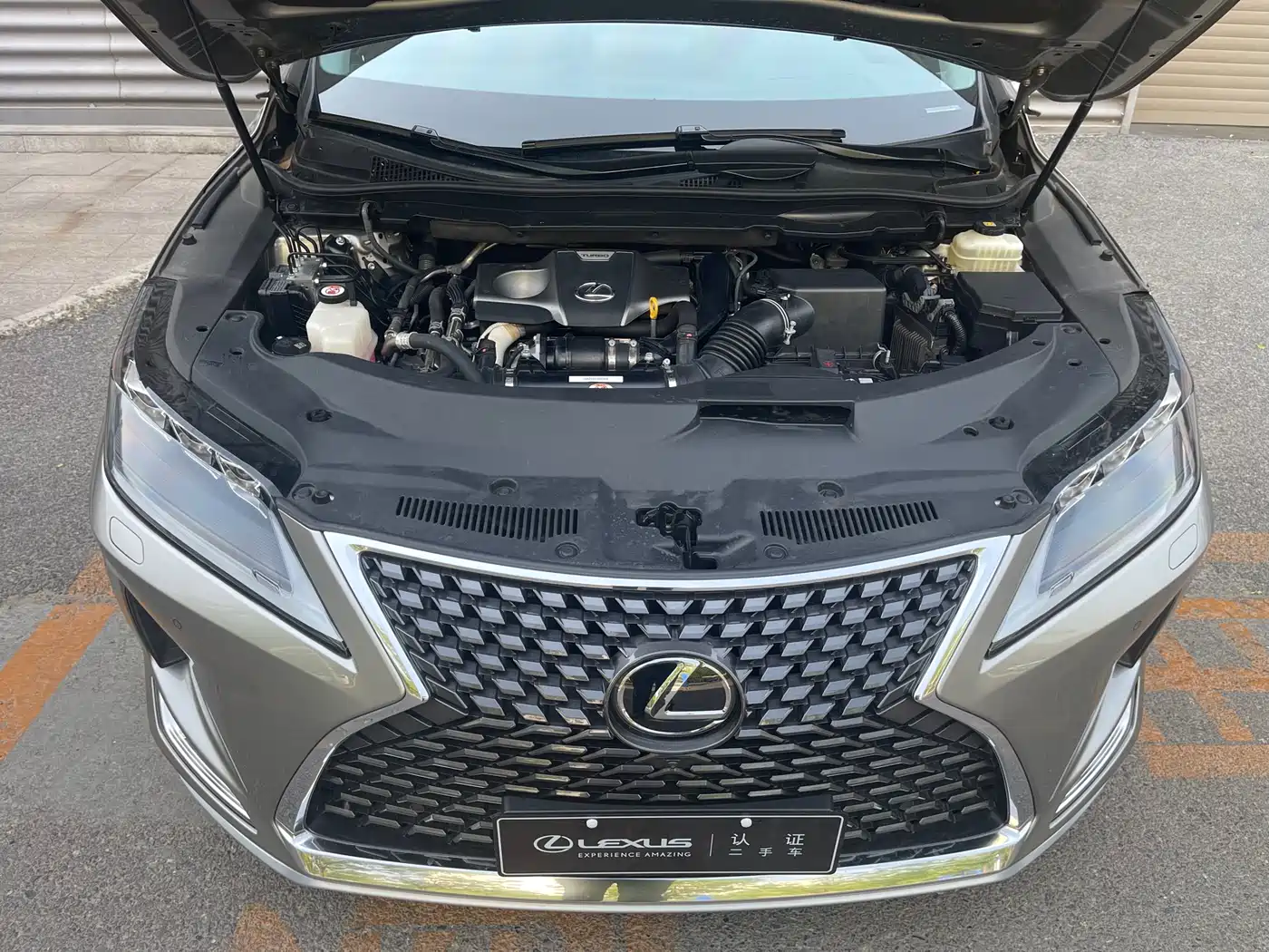 LEXUS RX