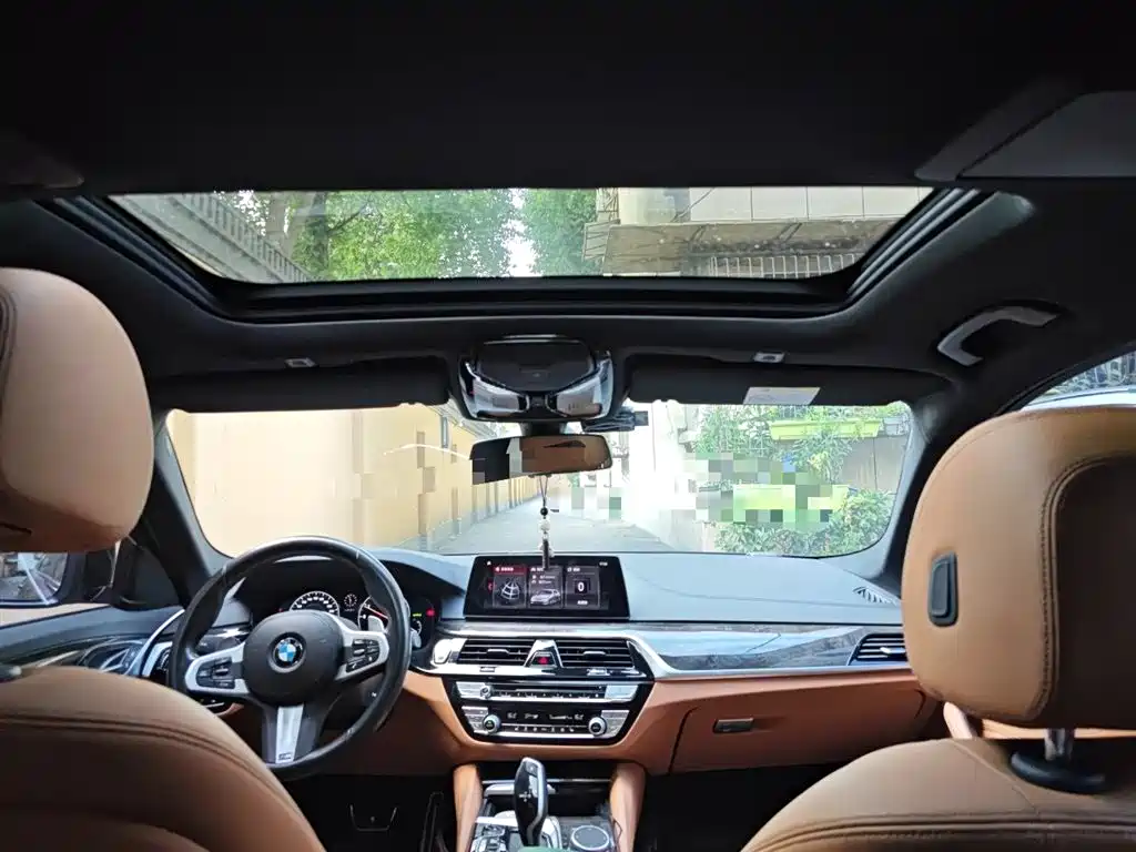 BMW 5 Series 2019 530Li Leading M Sport Package фото 9