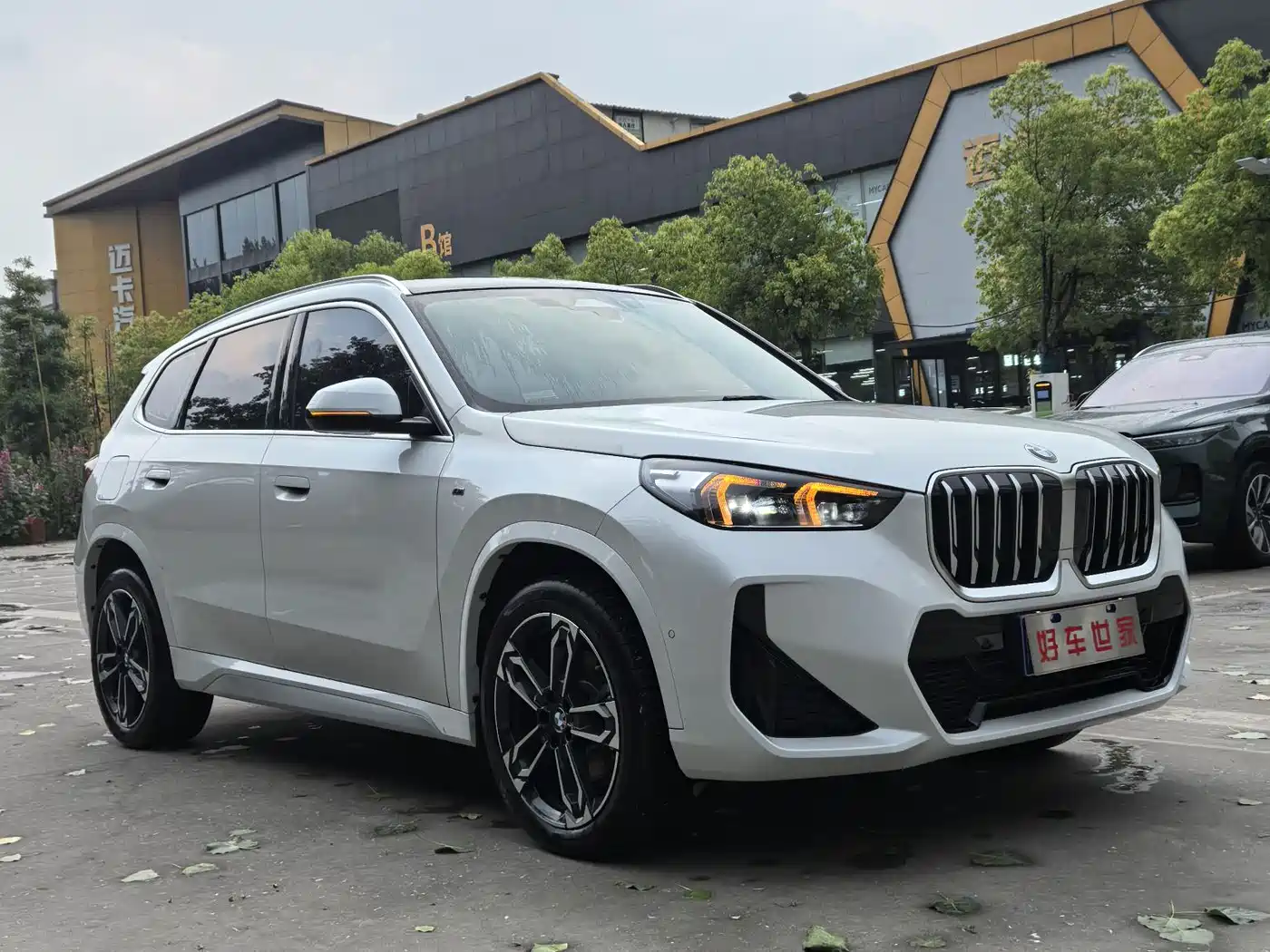 BMW X1 2024 sDrive25Li X Design Package фото 3