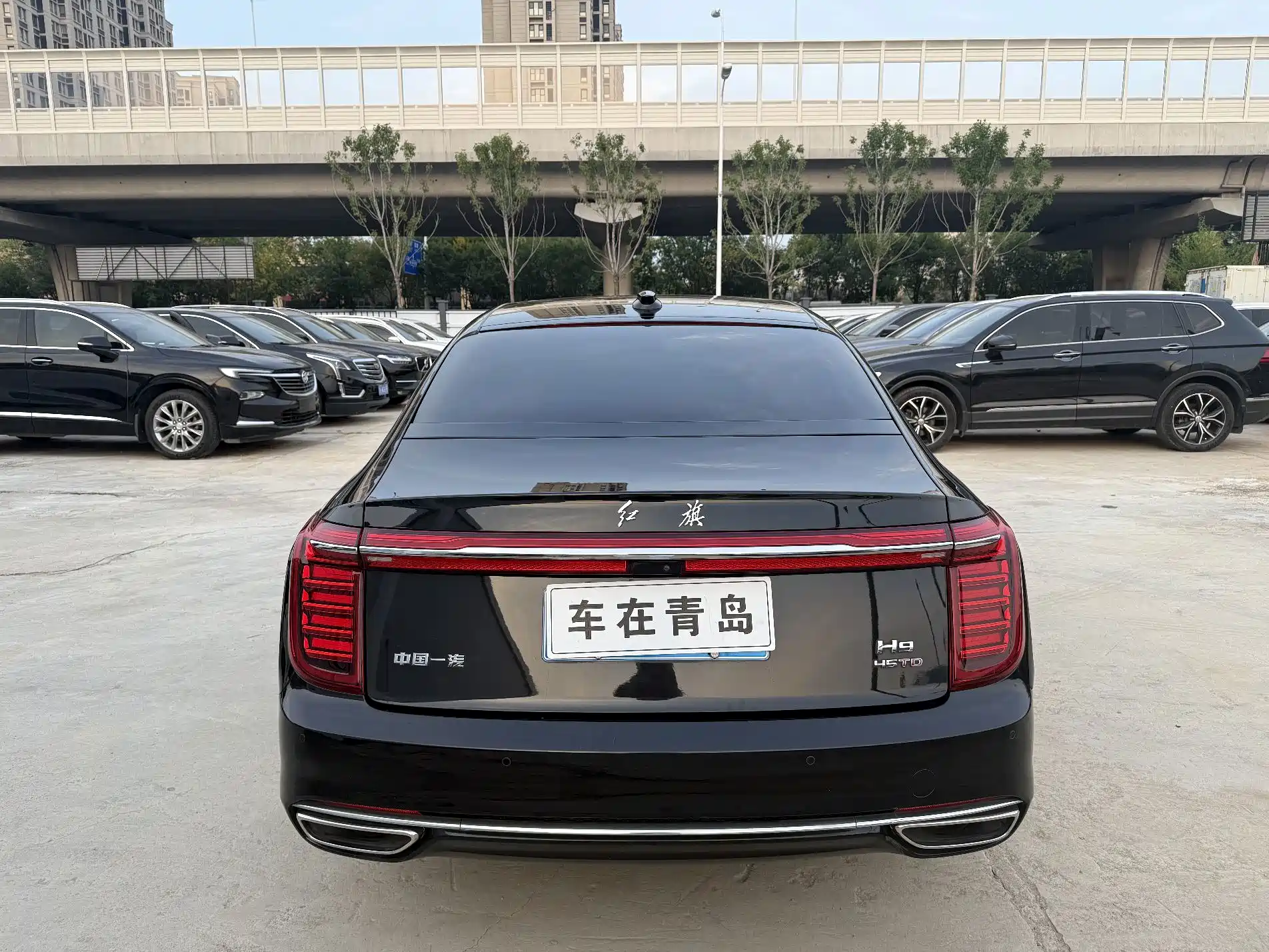 Фото 11 - Hongqi H9