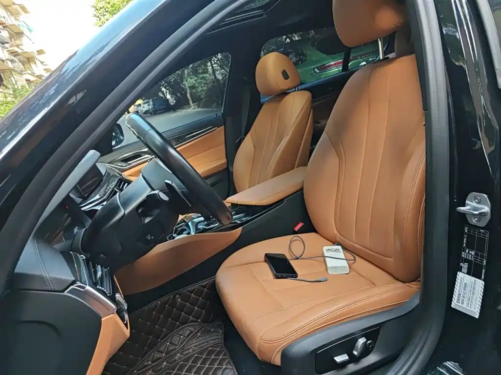 BMW 5 Series 2019 530Li Leading M Sport Package фото 8