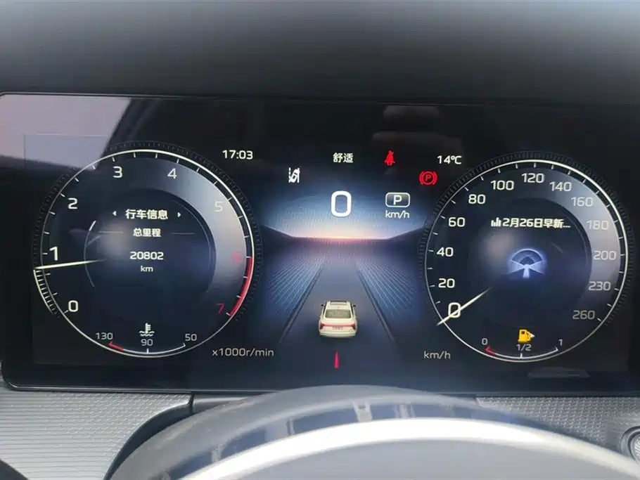 Hongqi H5 2024 2.0T Automatic Smart Connect Flag Smooth Edition фото 14