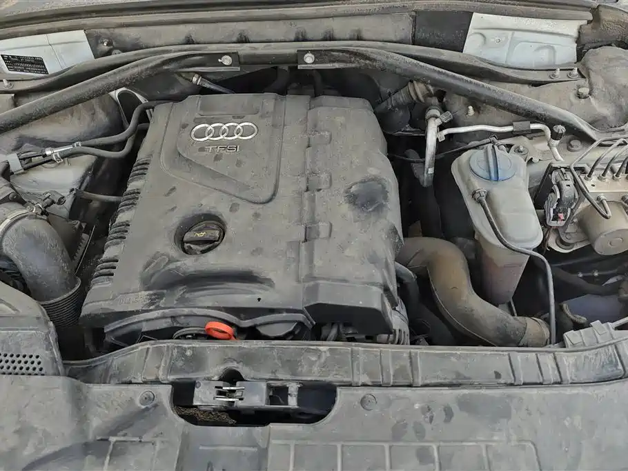 Audi Q5 2011 2.0TFSI Dynamic фото 10