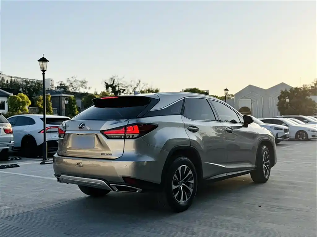 Lexus RX 2020 Facelift 300 2WD Elite Edition фото 9