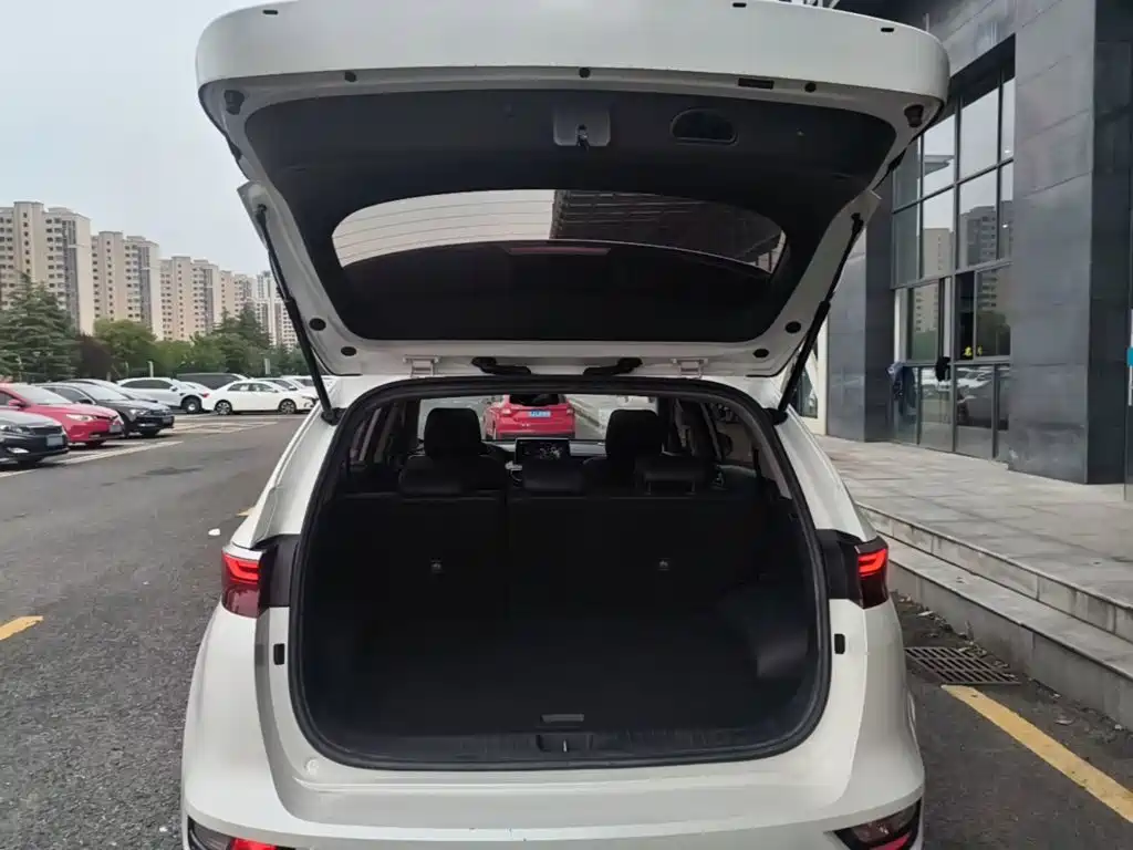 Kia KX5 2020 2019 1.6T Automatic 2WD Luxury Edition
