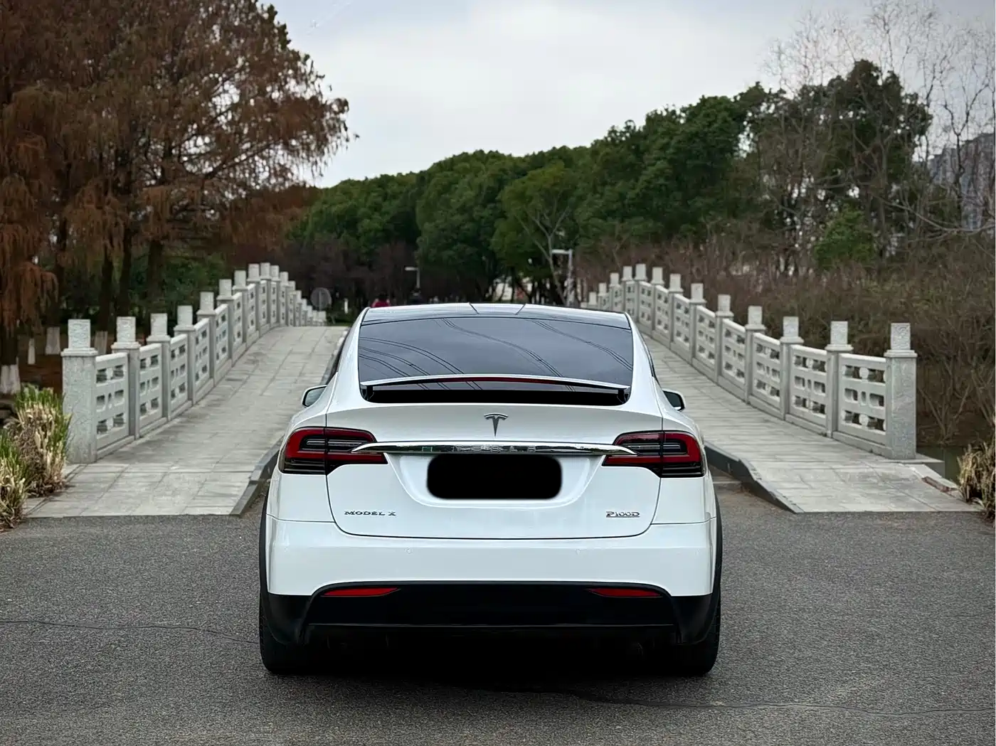 TESLA MODEL X