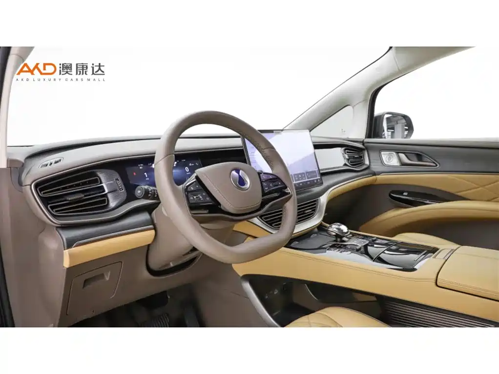 Denza D9 2022 DM-i 970 AWD Flagship фото 6