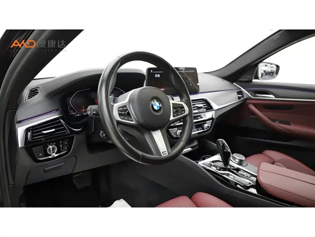 BMW 5 Series 2021 Facelift 530Li Premium M Sport Package фото 6