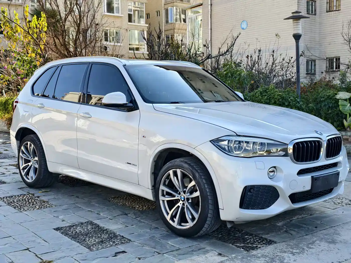 BMW X5 (Import) 2017 xDrive35i M Luxury Sport фото 3