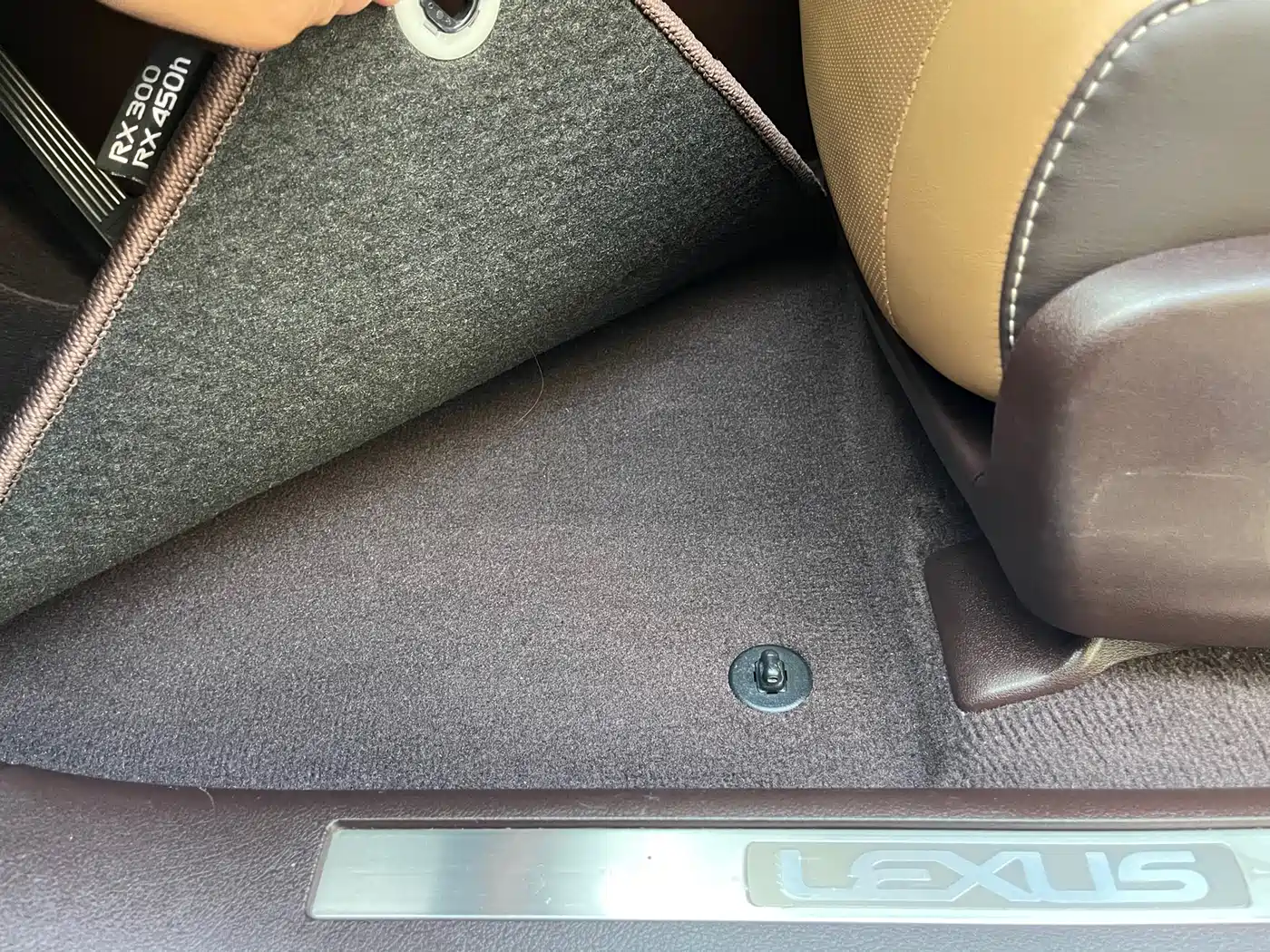 LEXUS RX