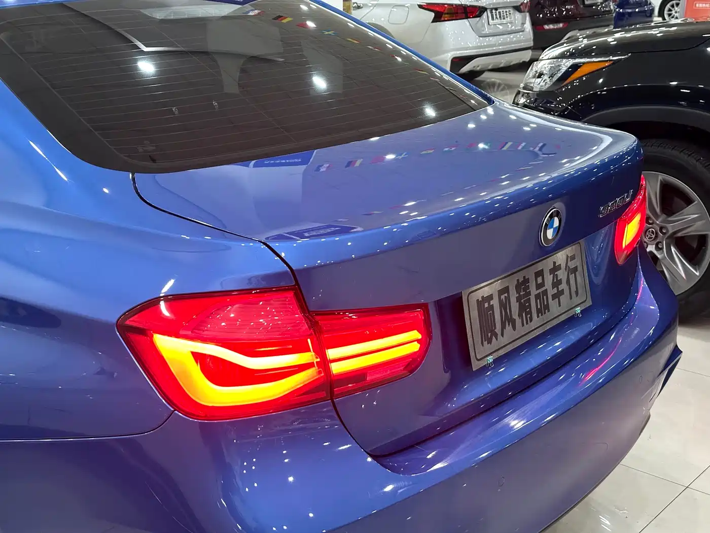 BMW 3 Series 2019 320Li M Sport Package фото 27