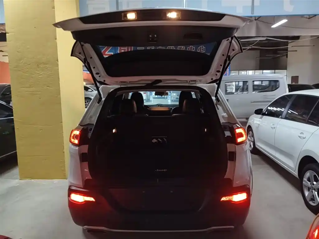 Jeep Cherokee 2016 2016 2.4L Professional Edition