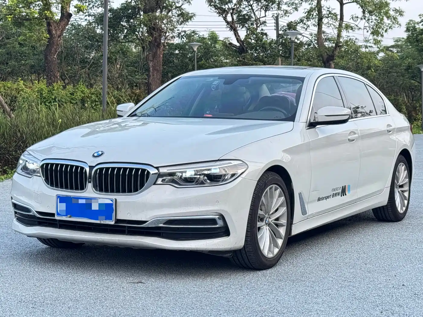 BMW 5 Series 2020 530Li Leading M Sport Package