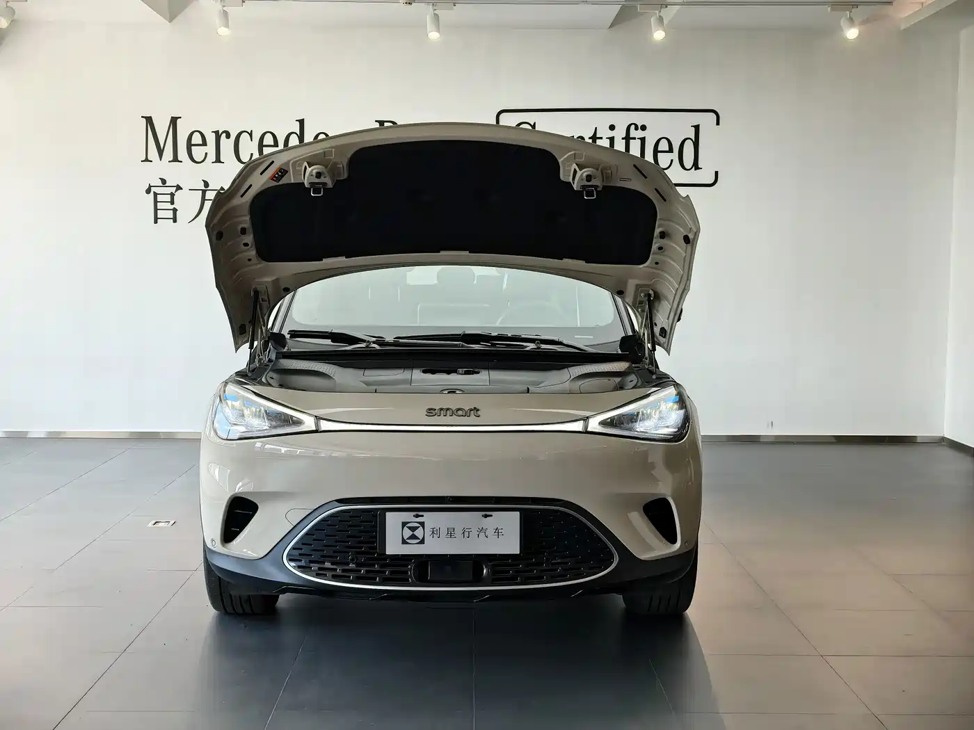 smart Elf #1 2025 2026 Agile New Luxury Edition