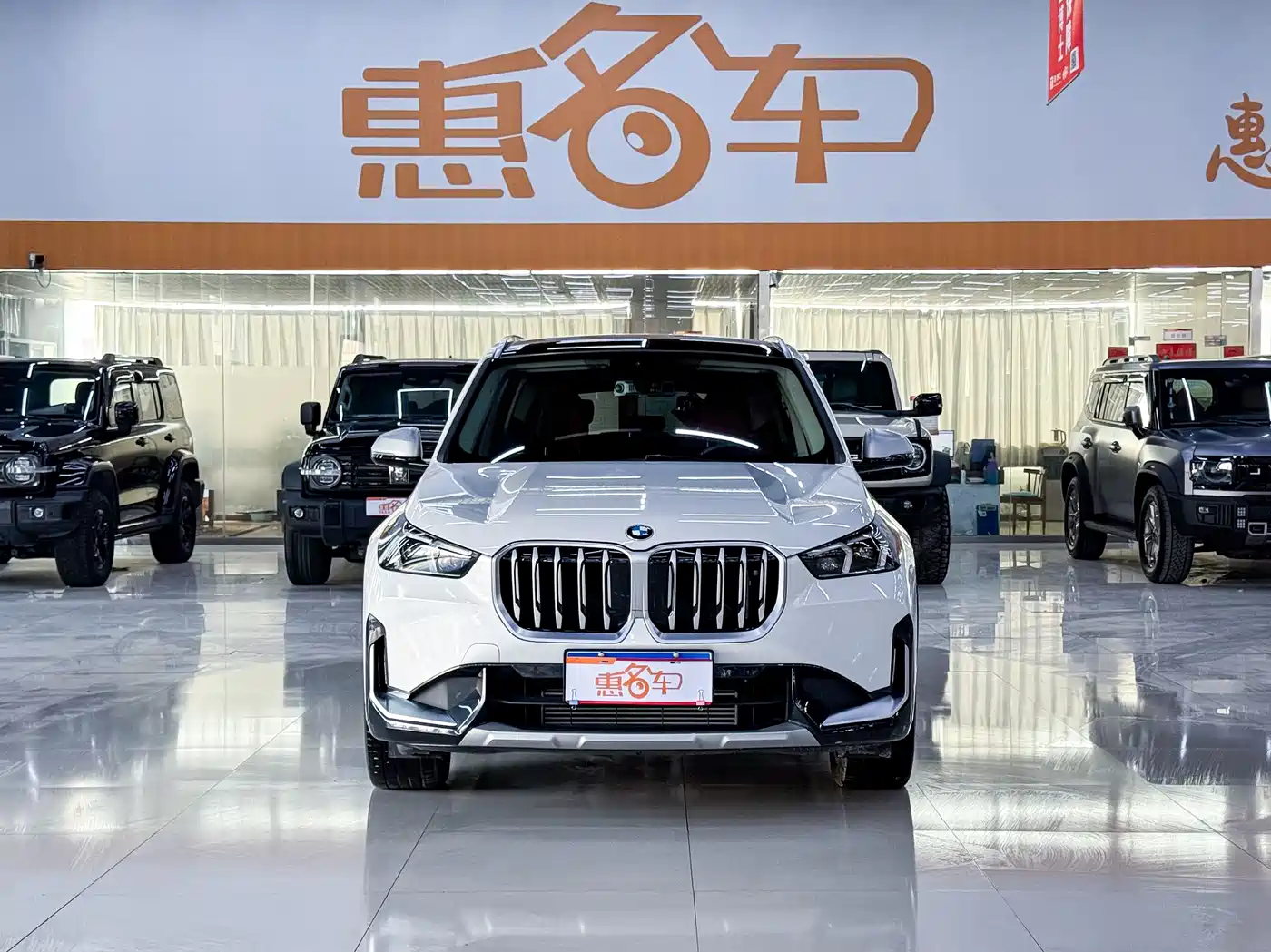 BMW X1 2023 xDrive25Li X Design Package