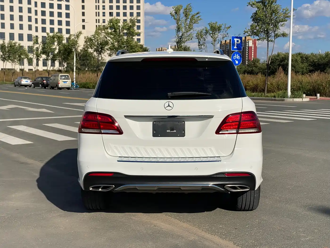 Mercedes-Benz GLE 2016 GLE 320 4MATIC Luxury фото 8