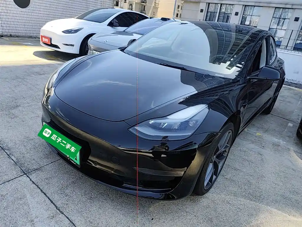 Tesla Model 3 2021 Performance High-Performance All-Wheel Drive