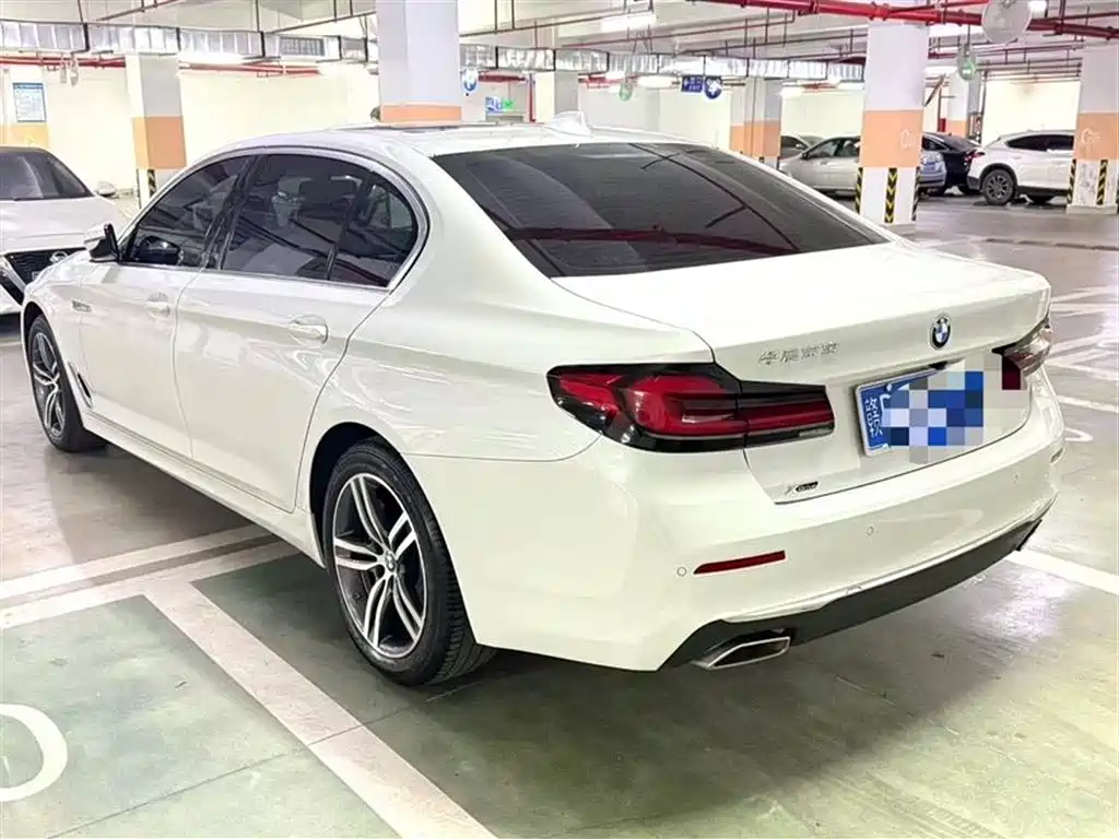 BMW 5 Series 2021 530Li xDrive Luxury Package фото 8