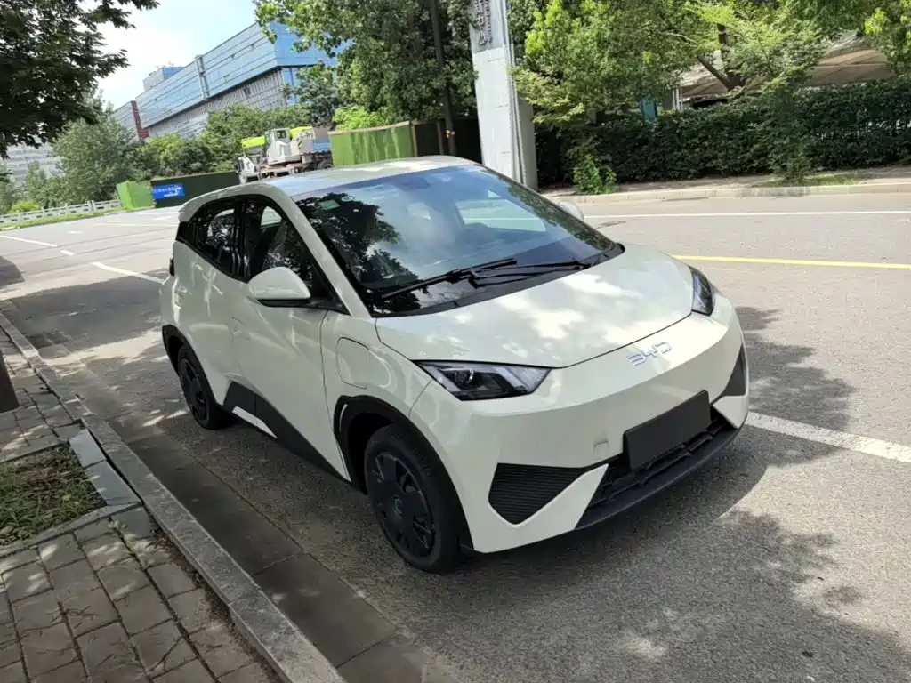 BYD Seagull 2026 2025 Smart Drive Edition 305km Vitality Version