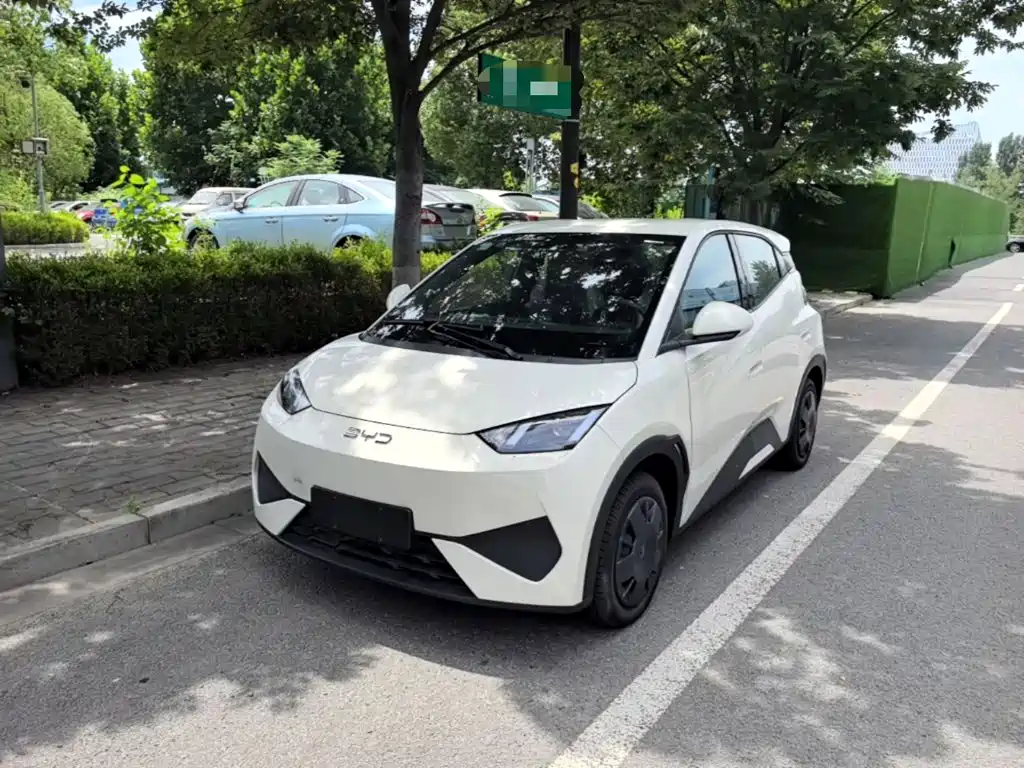 BYD Seagull 2026 2025 Smart Drive Edition 305km Vitality Version