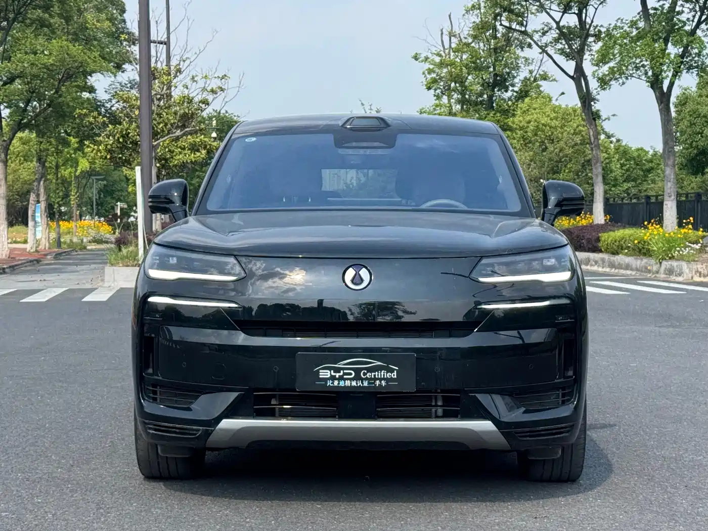 Denza N9 2025 Model Prestige Edition фото 2