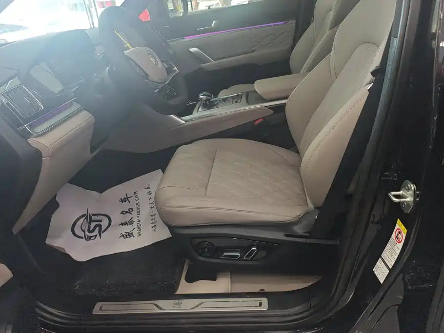 BYD Tang New Energy 2025 2025 Smart Driving Edition DM-i 115KM Honor