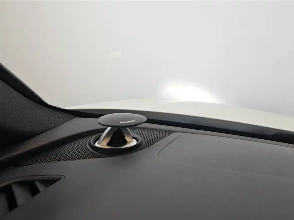 Audi A4L 2025 2 Million Celebration Edition 40 TFSI Luxury Dynamic B&O Starlight Night Edition фото 8