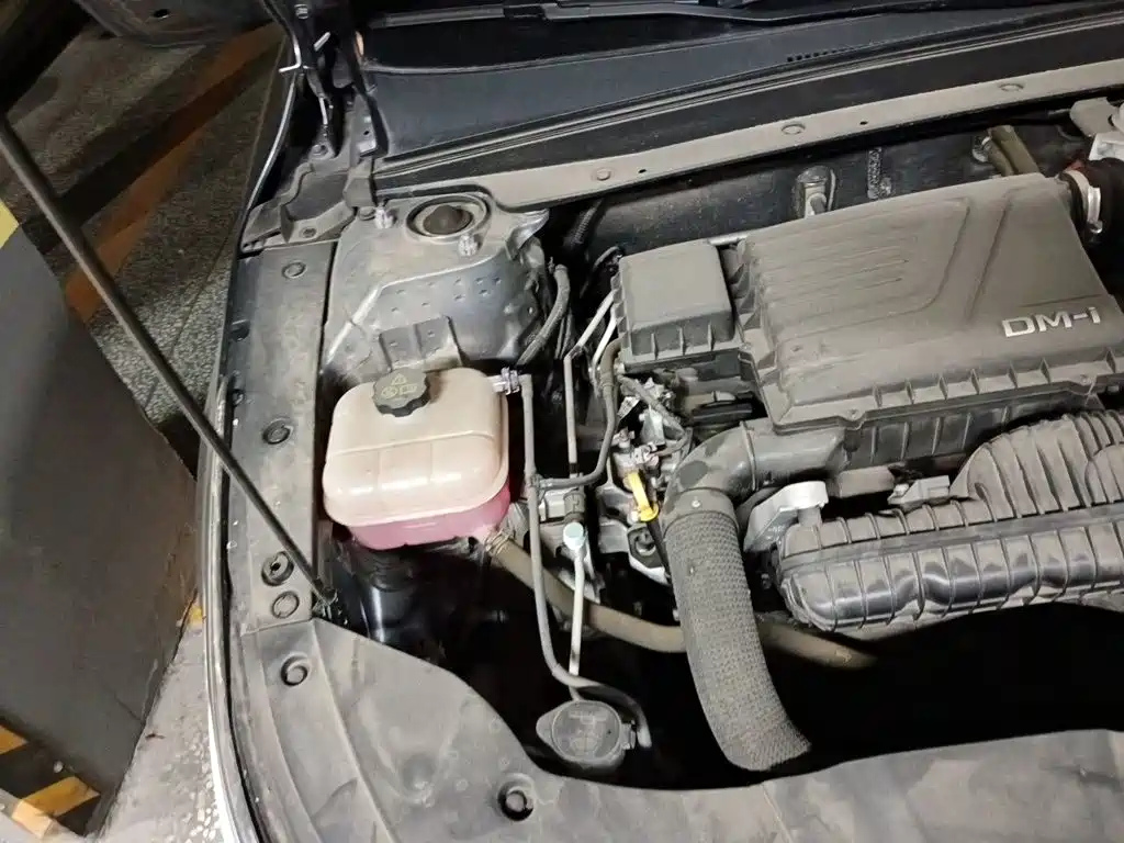 BYD Destroyer 05 2024 2023 Champion Edition DM-i 55KM Luxury