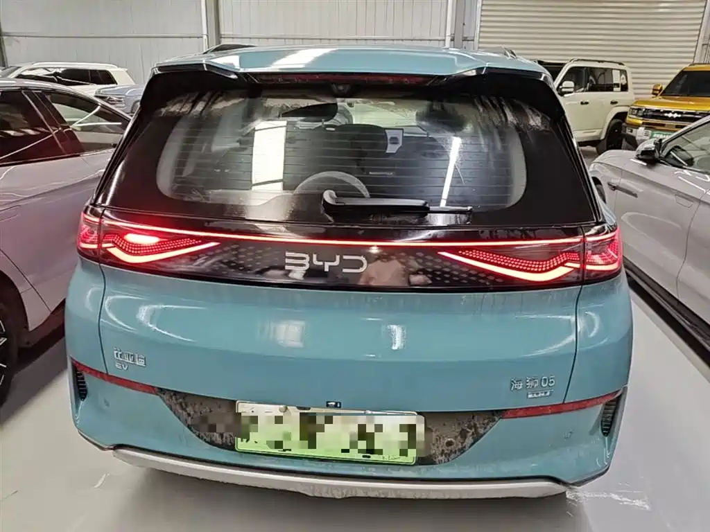 BYD Hai Shi 05 EV 2025 520KM Smart Navigation Edition фото 6
