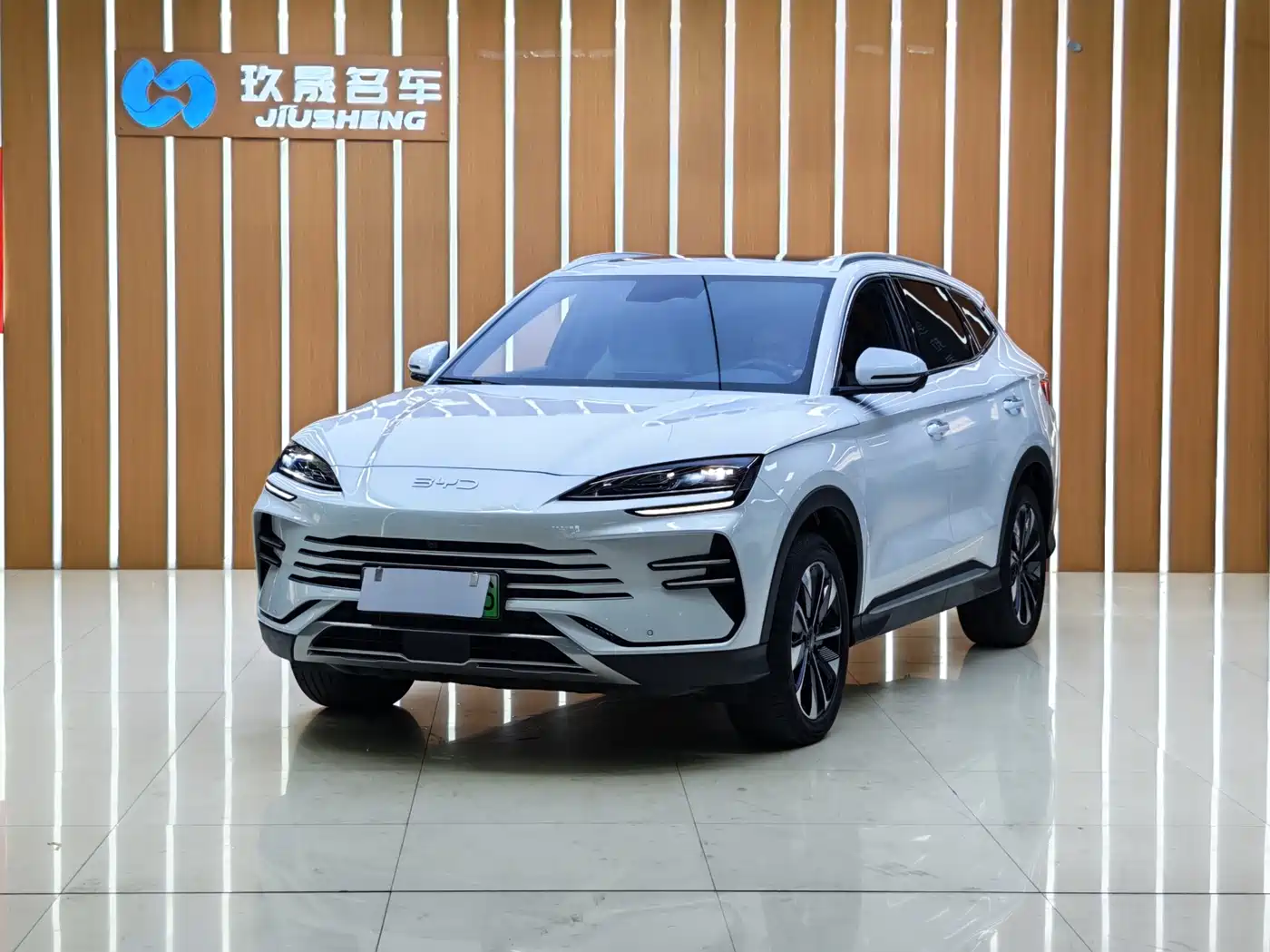byd songjiang-new-energy