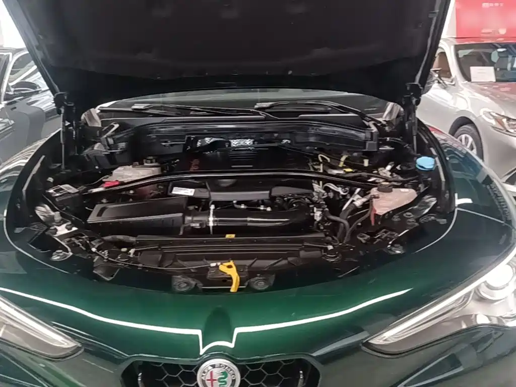 Alfa Romeo Stelvio 2021 2020 2.0T 280HP Luxury Edition