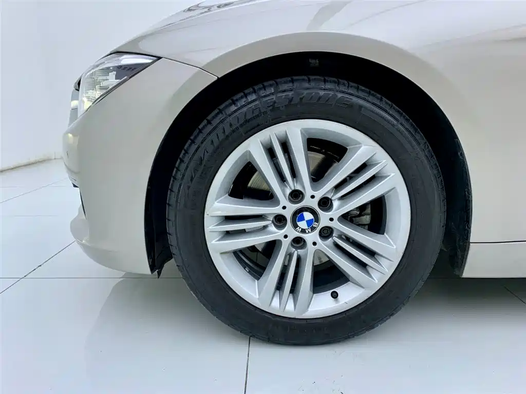 BMW 3 Series 2018 318Li фото 6