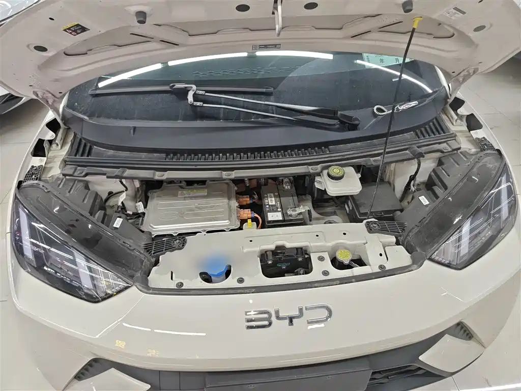 BYD Seagull 2025 305km Freedom фото 16