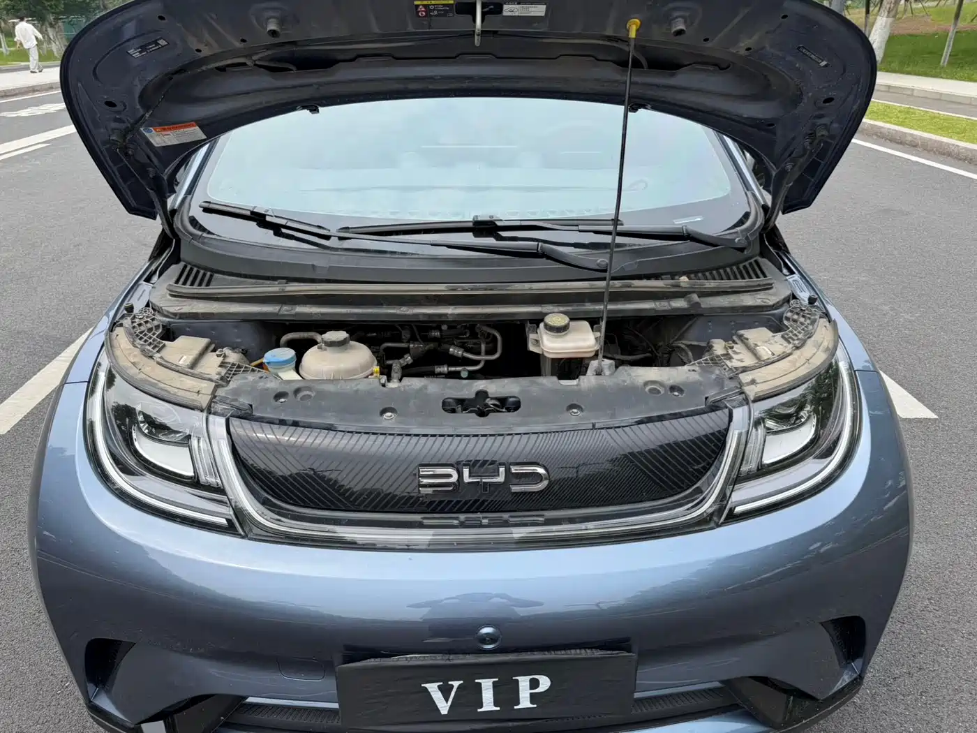 BYD Dolphin 2024 Glory Edition 420km Freedom Edition фото 15