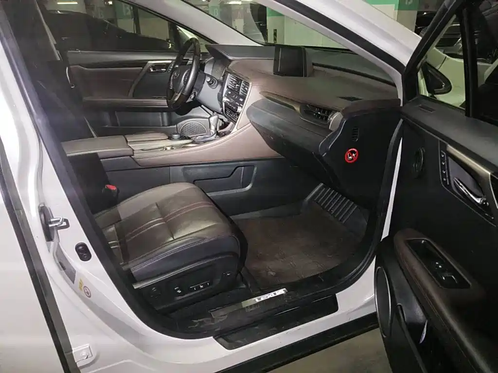 Фото 13 - Lexus RX