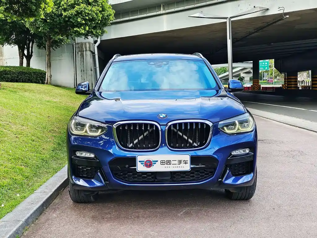 BMW X3 2018 2018 xDrive25i M Sport Package China V